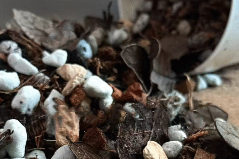 Best 7 Soil Mix Recipes for Leaf Houseplants