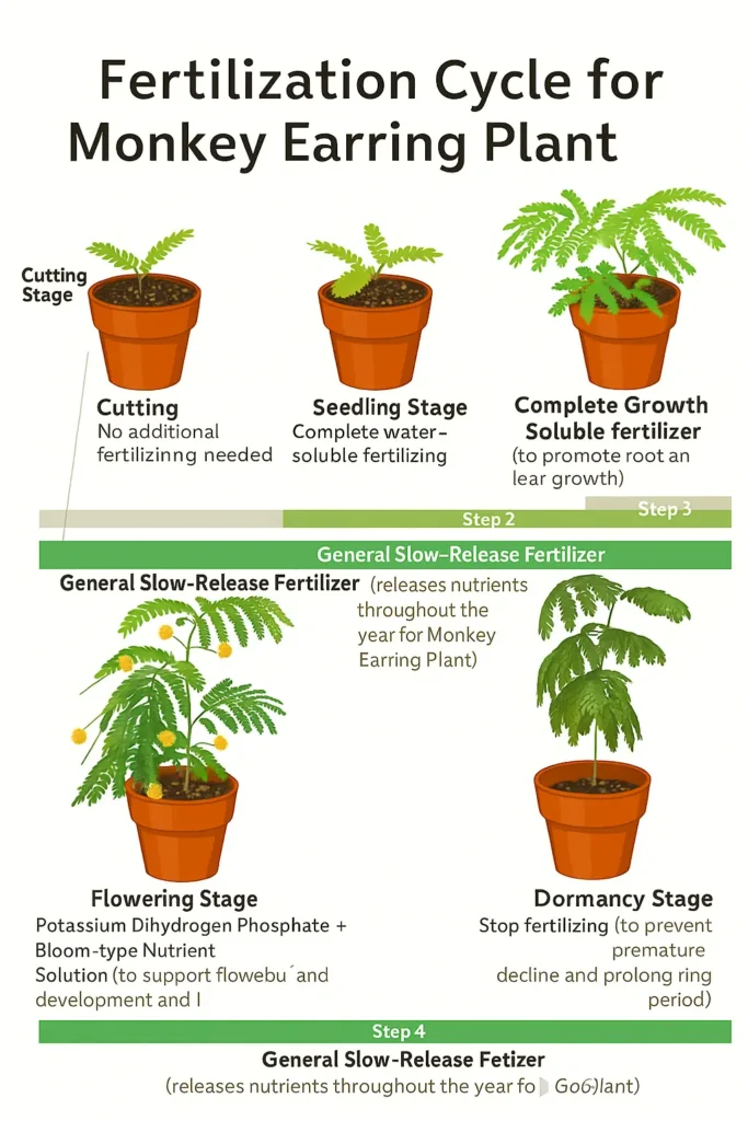 fertilization cycle for cojoba arborea