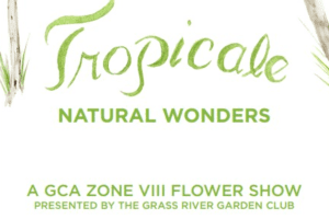 Tropicale: Natural Wonders GCA Flower Show — What to Expect in 2026?