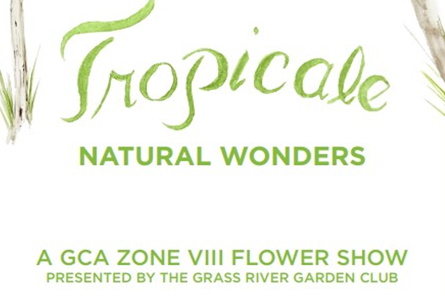 Tropicale: Natural Wonders GCA Flower Show — What to Expect in 2026?