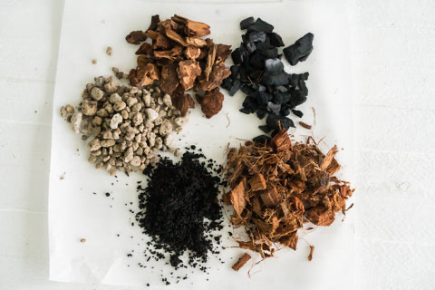 Philodendron Pink Princess Care Guide - Soil Mix 