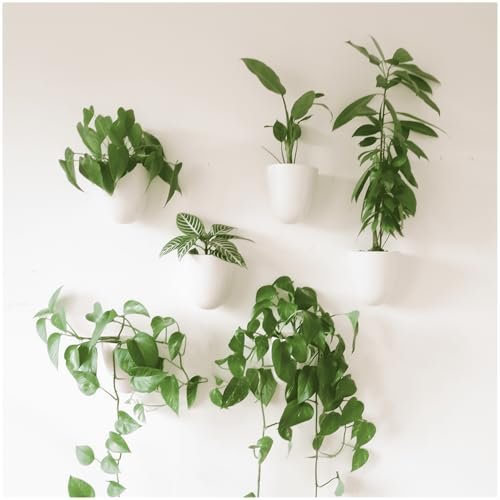 Make Good PlantPod Luxe self-watering wall planters