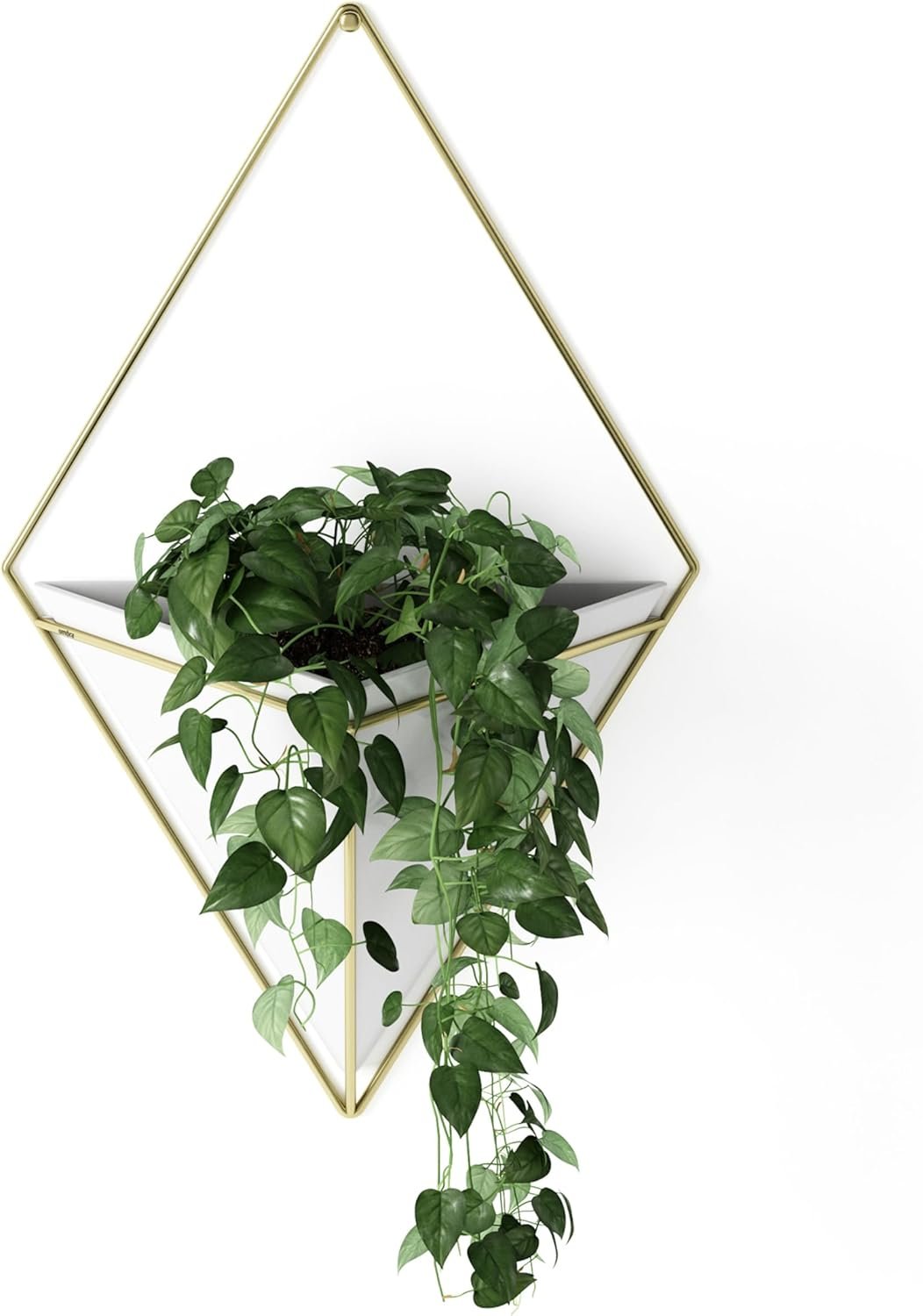 Umbra Trigg geometric wall planter set in white and brass