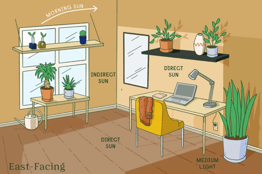 Tropical houseplants thriving in bright indirect light near a window