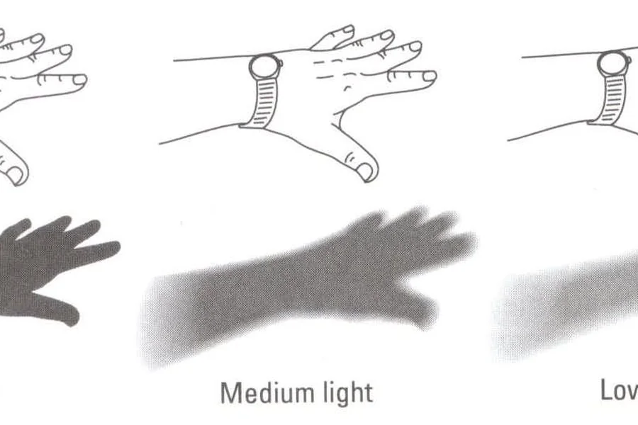 Illustration of the shadow test for determining plant light levels